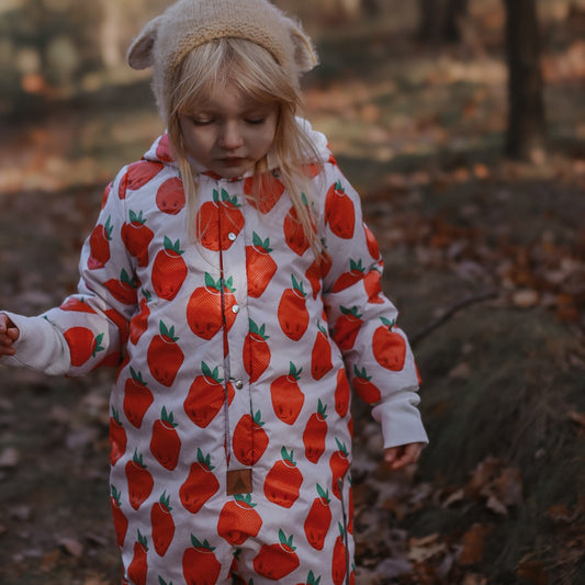 Winter Jumpsuit with Teddy Lining for Babies and Kids - Strawberries